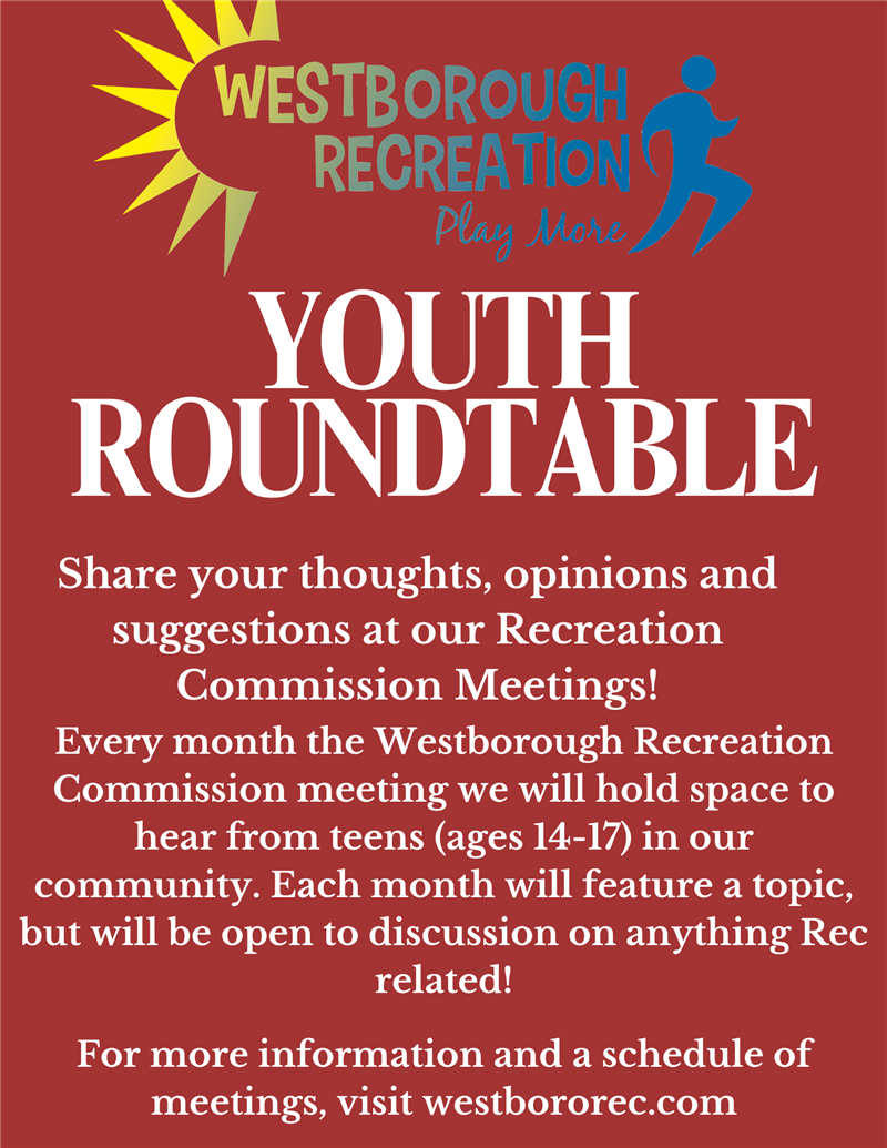 Youth Roundtable Forum Flyer 2